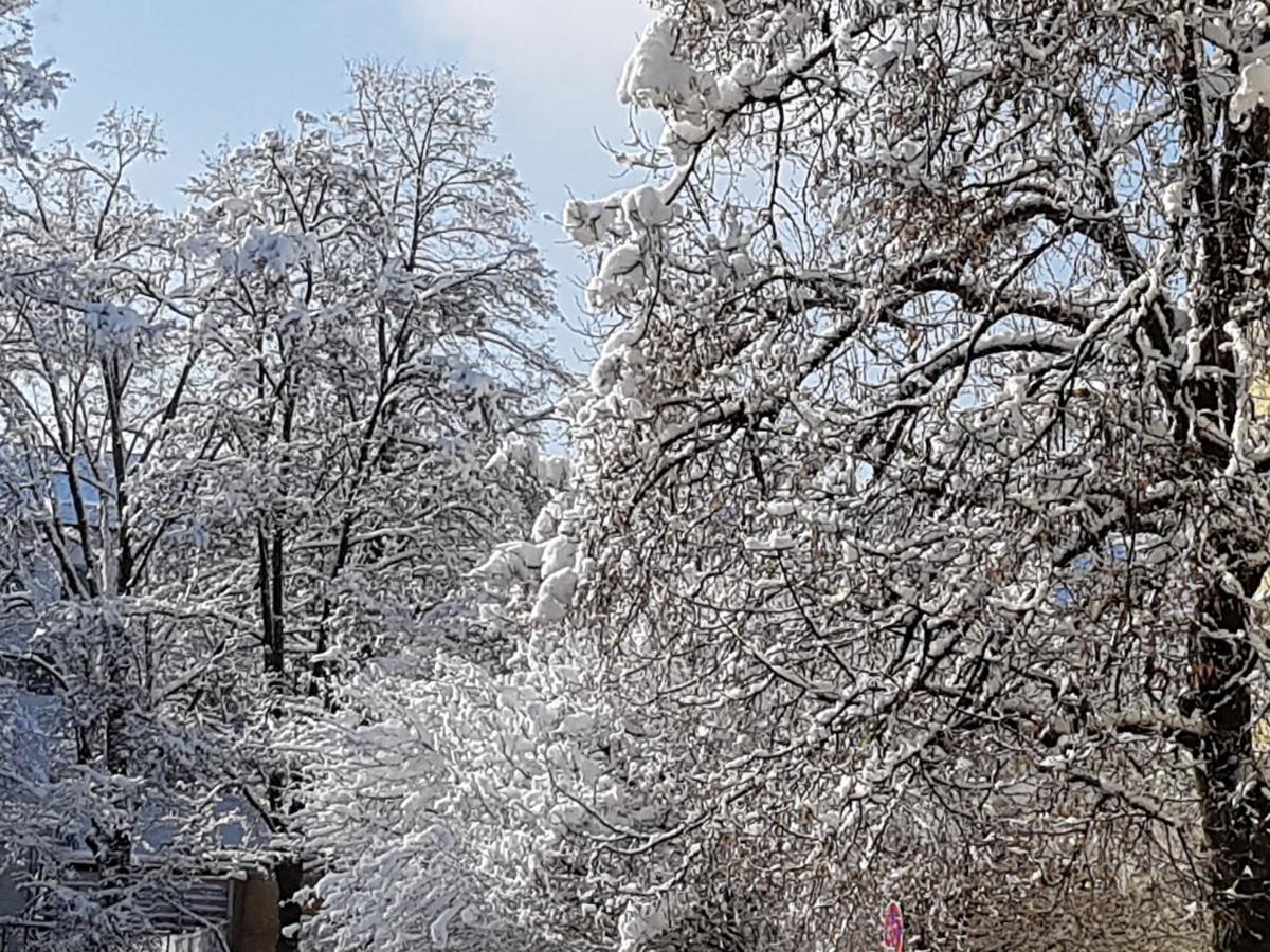 Staś-przy szkole nr3 w Skawie Skawa Zewnętrze zdjęcie